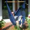 Domingo Marine - Weather-Resistant Comfort Hammock Chair